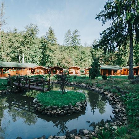 Vidra Park Hotel Sicasău Buitenkant foto