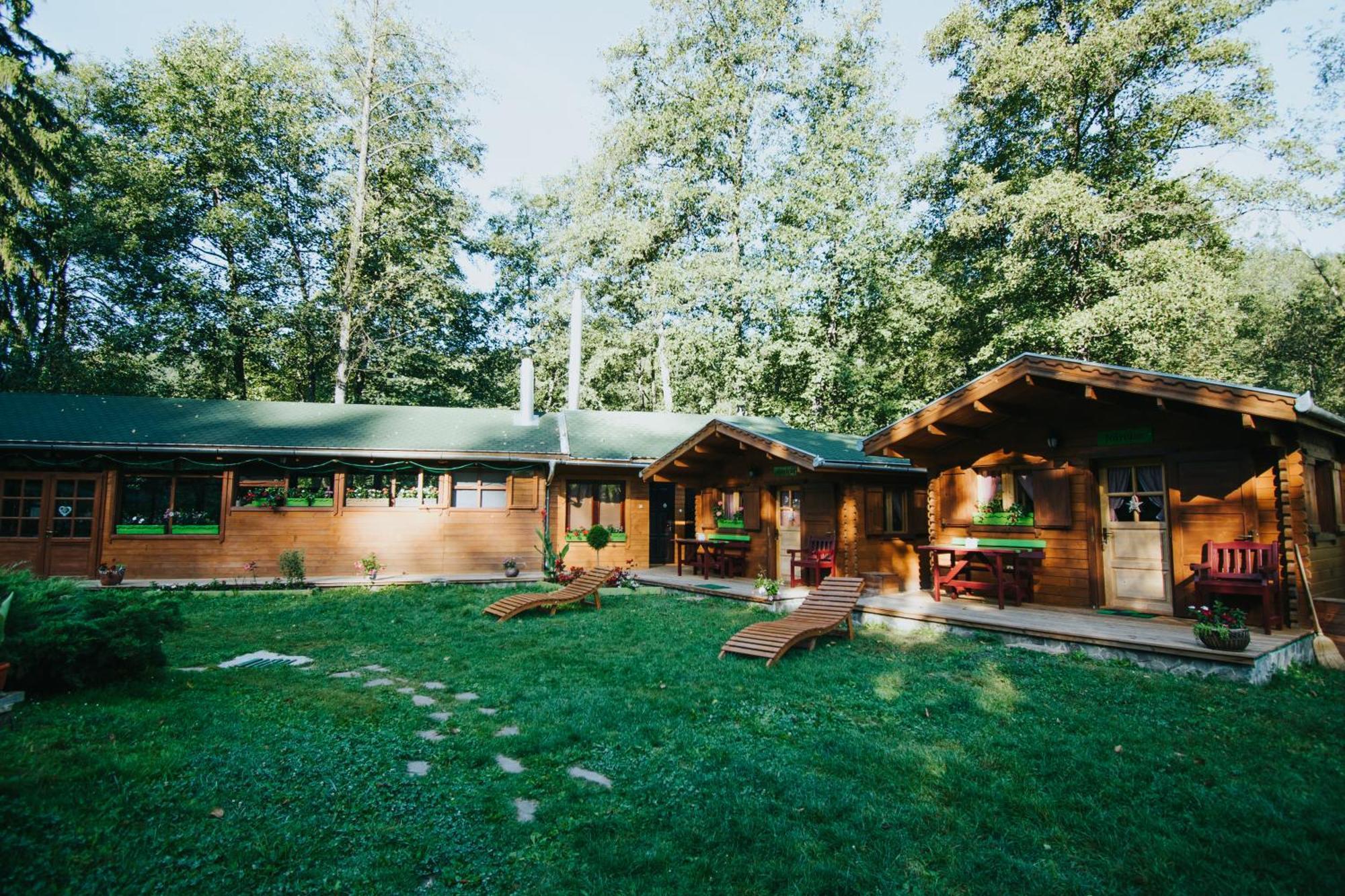 Vidra Park Hotel Sicasău Buitenkant foto