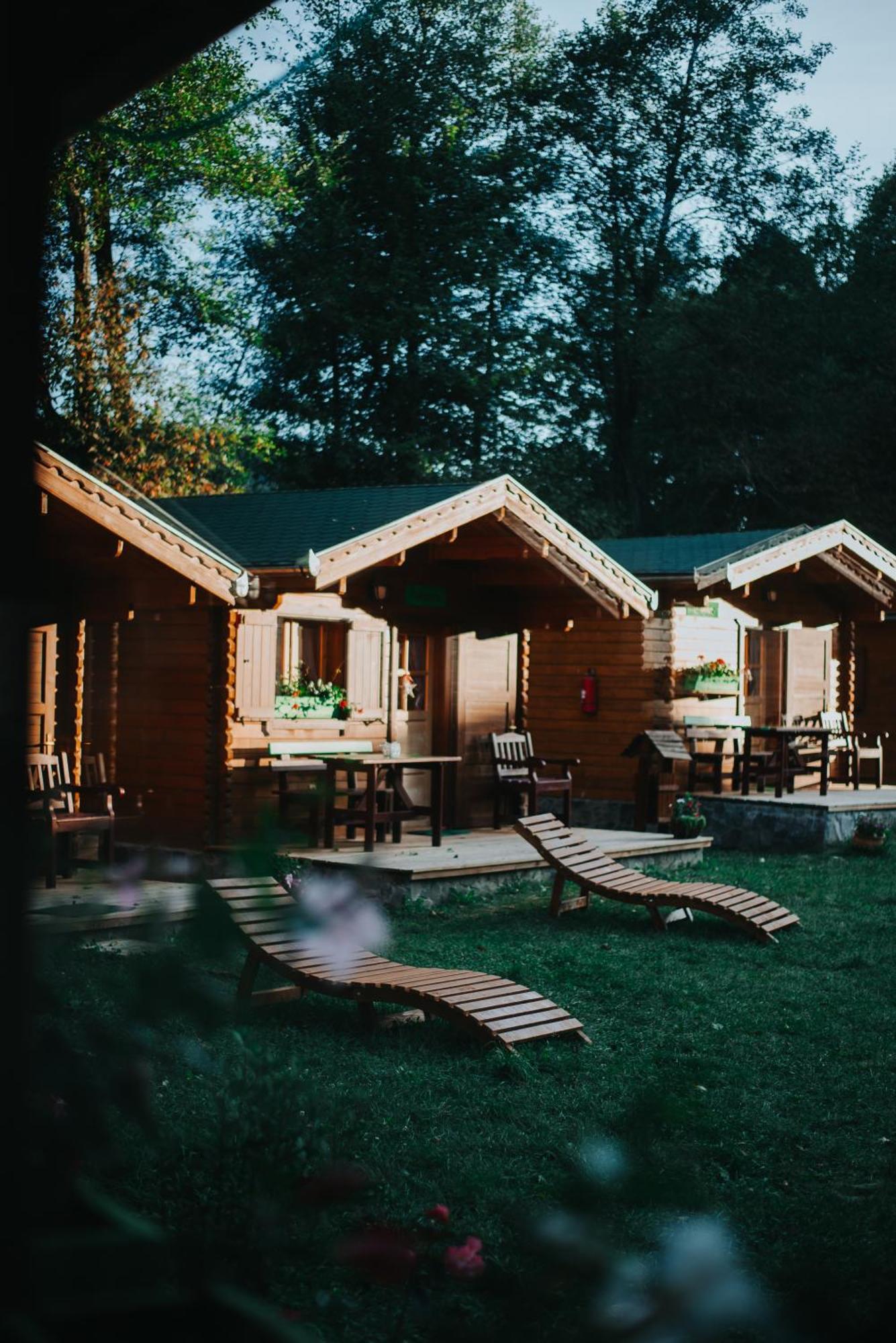 Vidra Park Hotel Sicasău Buitenkant foto