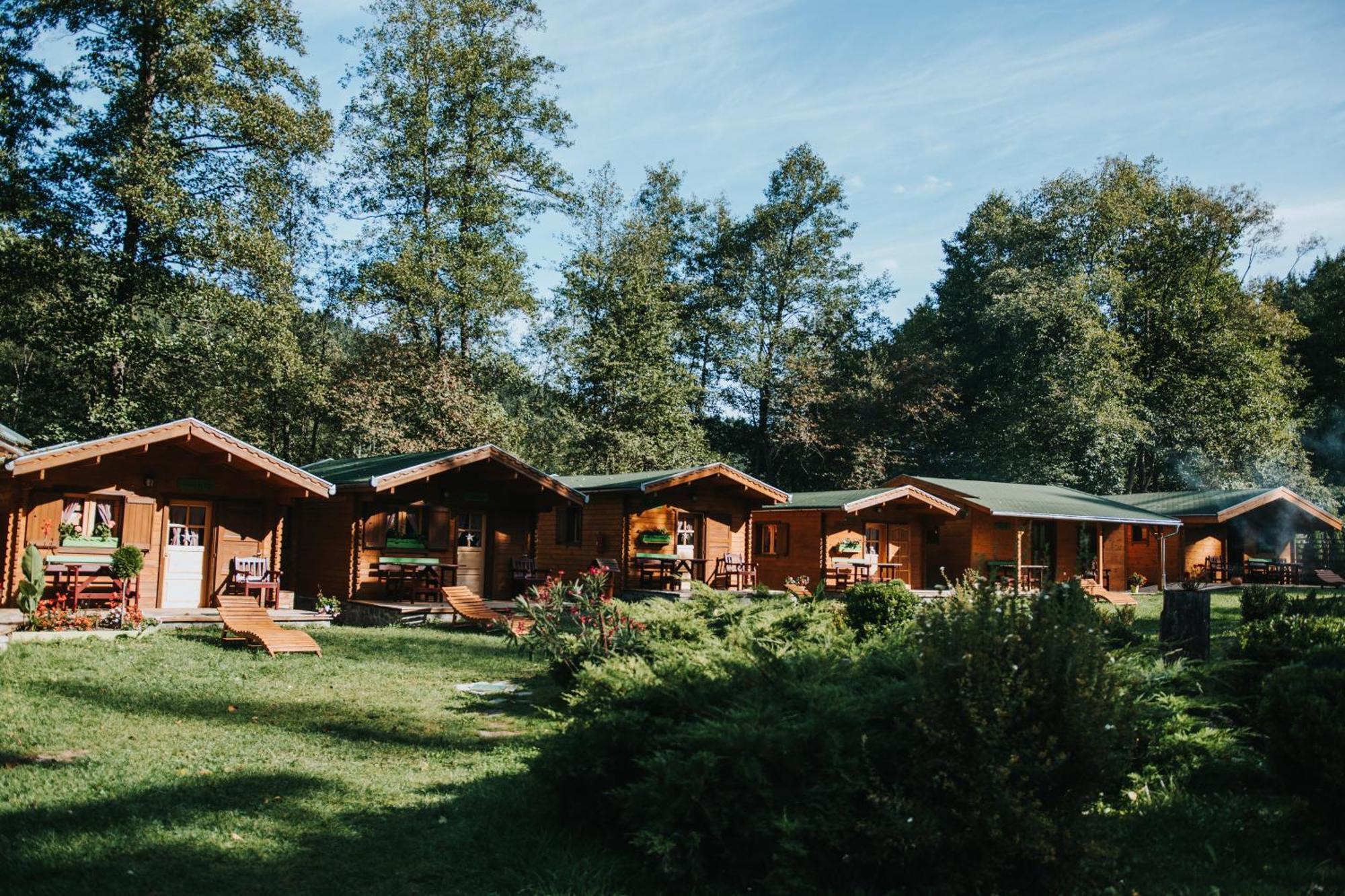 Vidra Park Hotel Sicasău Buitenkant foto