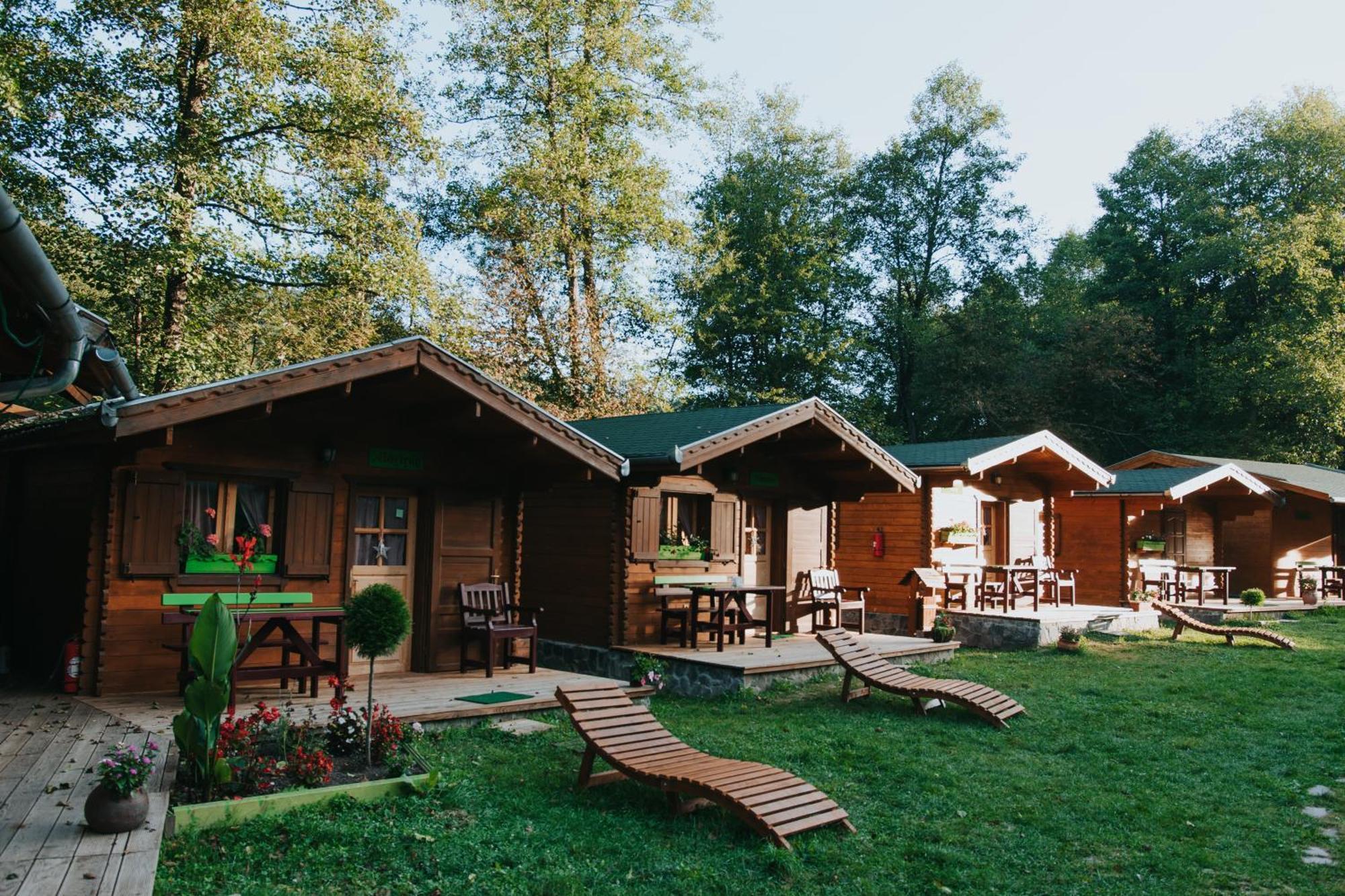 Vidra Park Hotel Sicasău Buitenkant foto