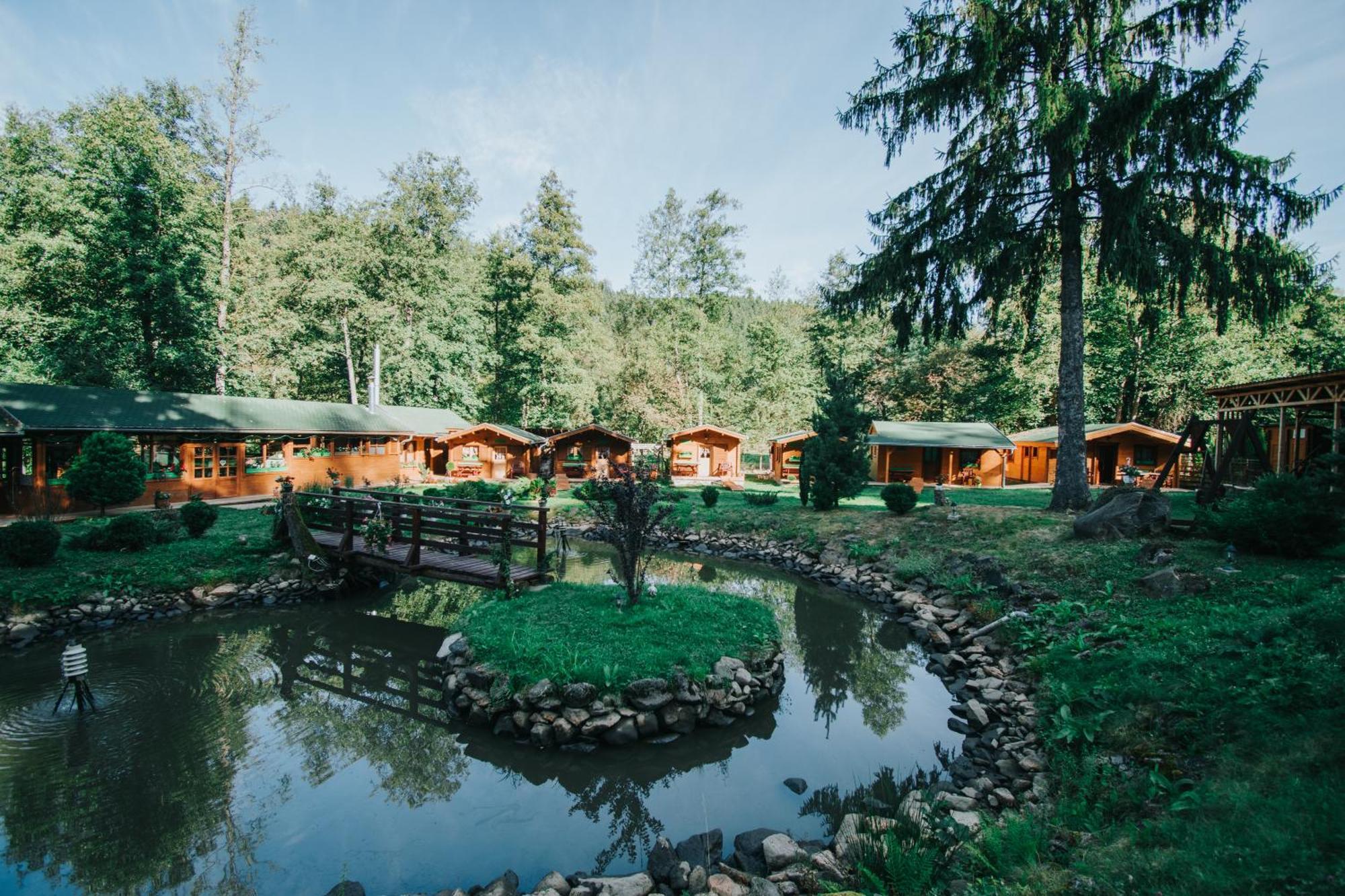 Vidra Park Hotel Sicasău Buitenkant foto