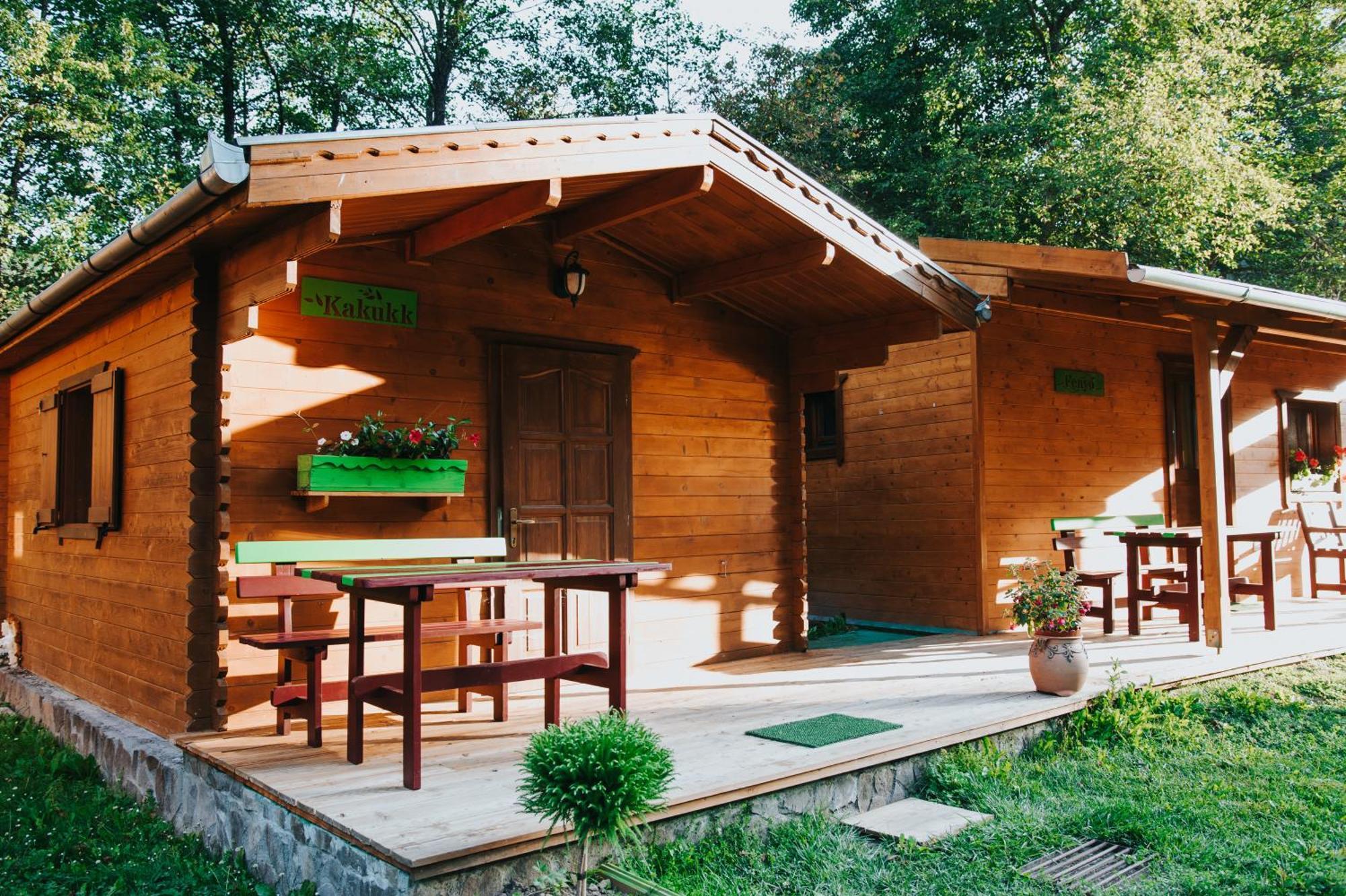 Vidra Park Hotel Sicasău Buitenkant foto
