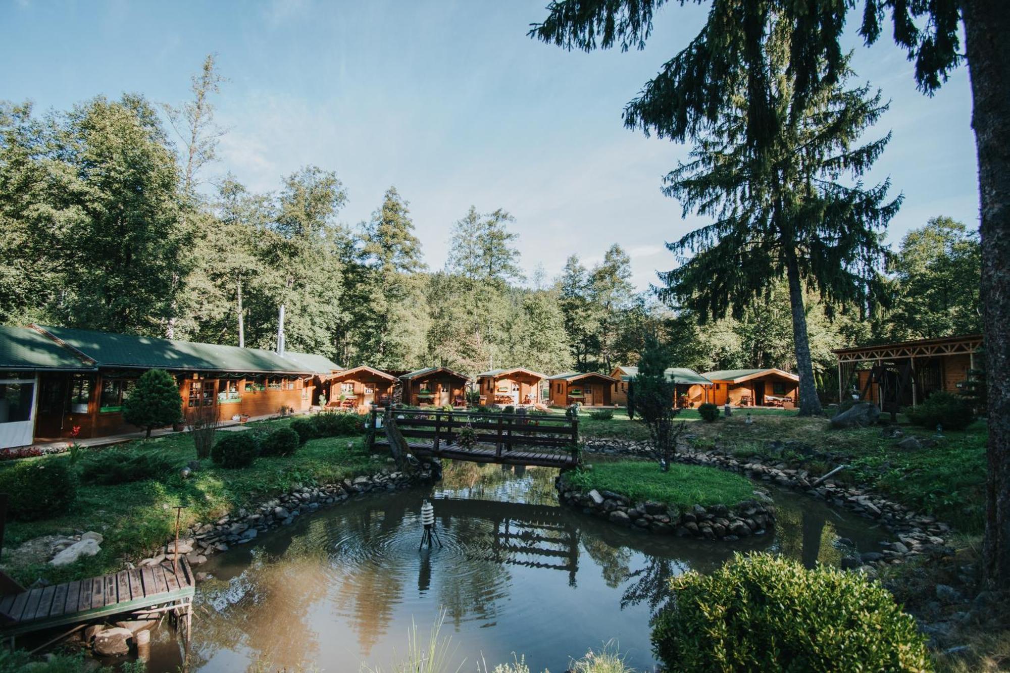 Vidra Park Hotel Sicasău Buitenkant foto