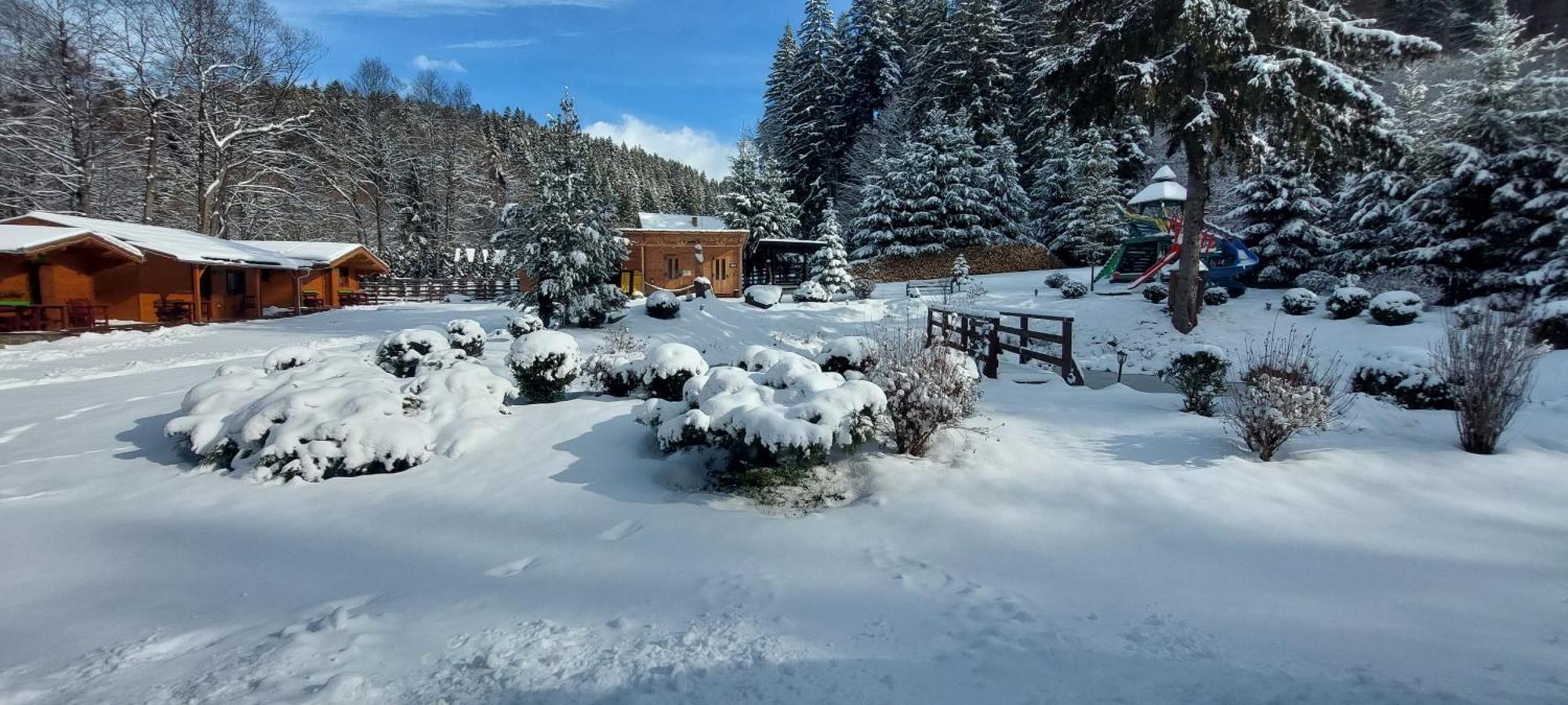 Vidra Park Hotel Sicasău Buitenkant foto