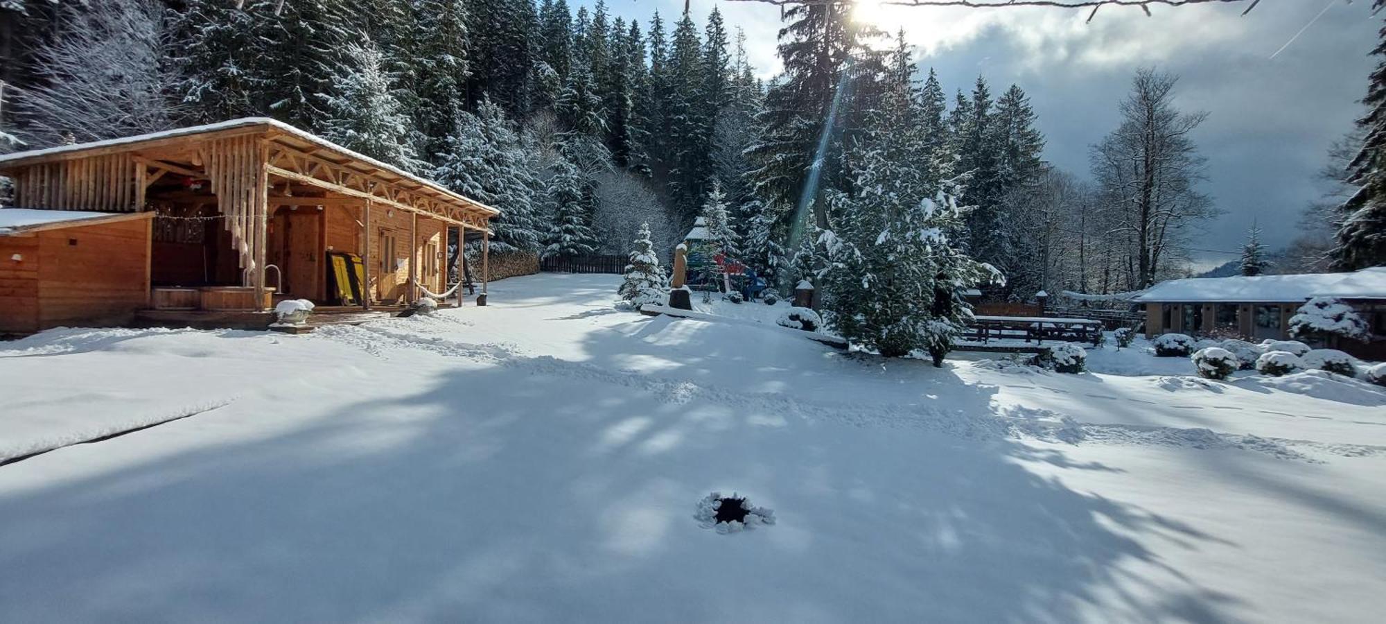 Vidra Park Hotel Sicasău Buitenkant foto